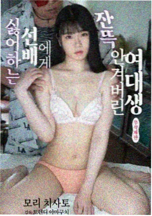 大明王朝免费观看